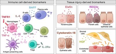 Novel Biomarkers for Outcome After Allogeneic Hematopoietic Stem Cell Transplantation